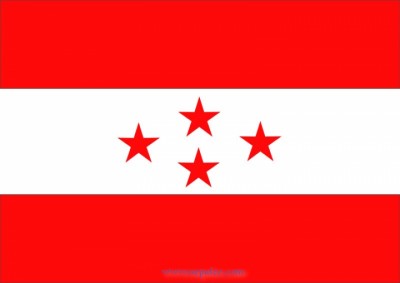 nepali-congress-flag-1487333148.jpg