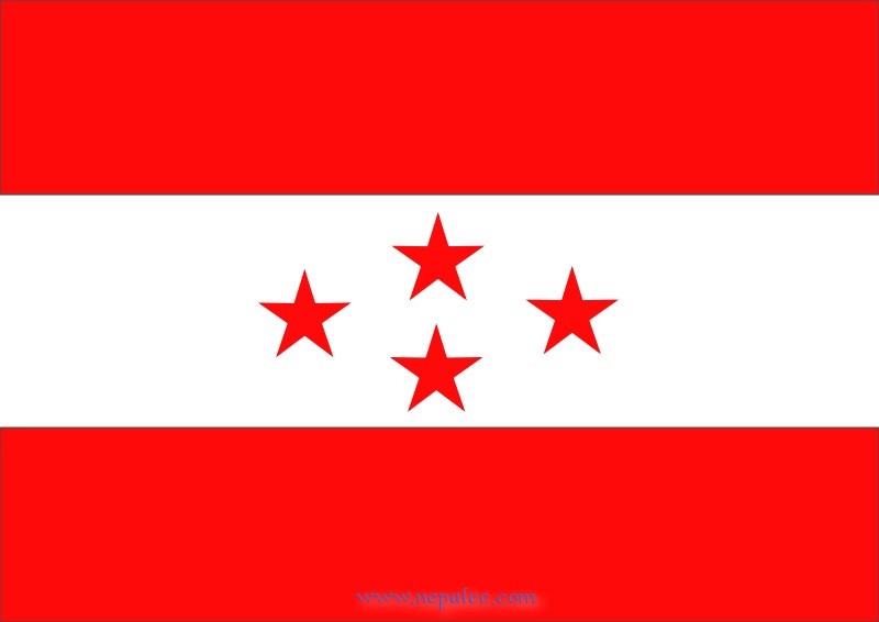 nepali-congress-flag-1494850121.jpg