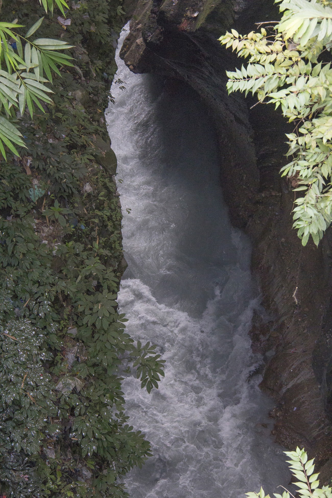 The_Hidden_River_-_Seti_G-1500364715.jpg
