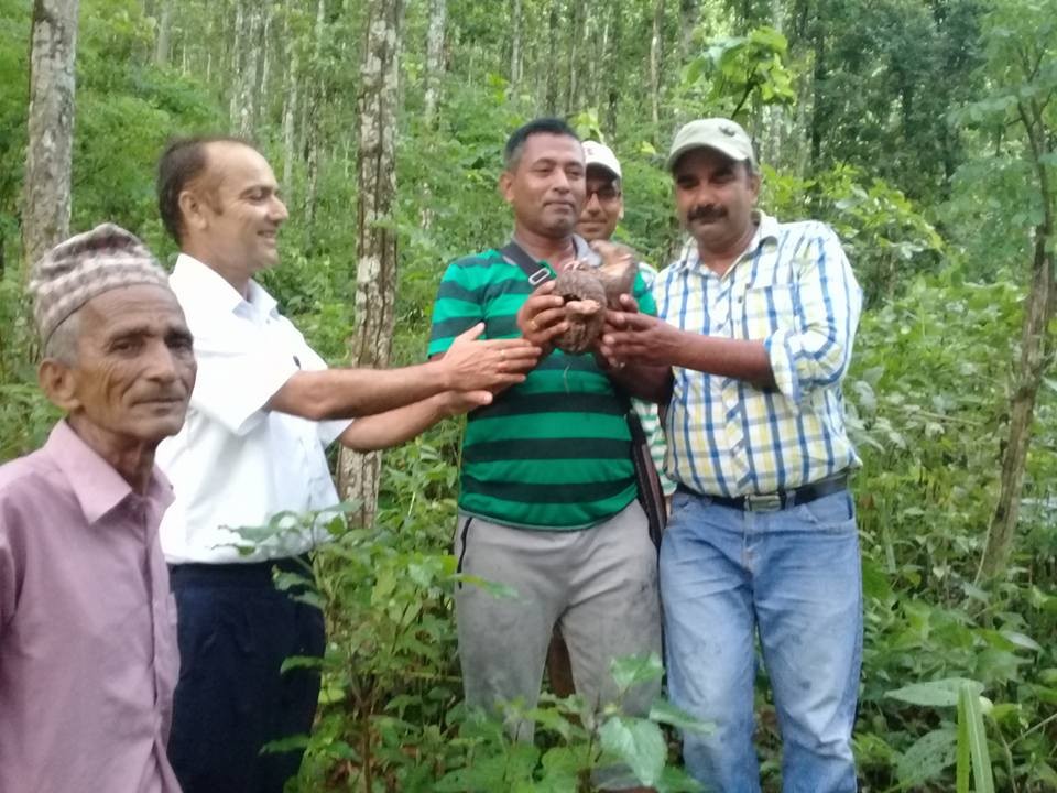 Salaaak-1500611834.jpg