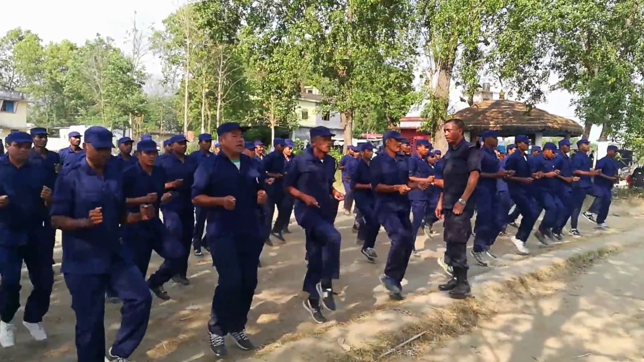 myadi-2-1507689121.jpg