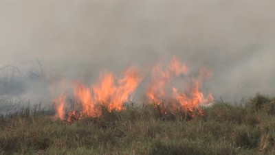 Fire-1513751393.jpg