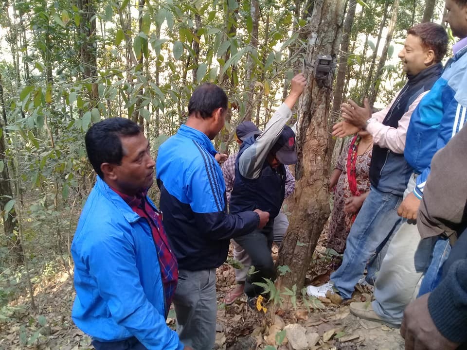 Camera-Trapping-1520510741.jpg