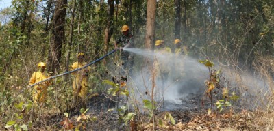 Fire-Control-1521008752.JPG
