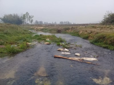 K1-1521105975.jpg