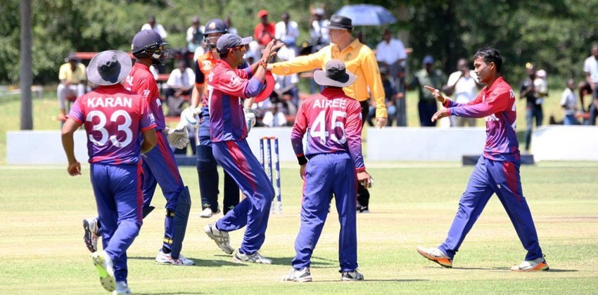 cricket-1521304941.jpg