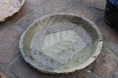Tapari-1524053061.JPG