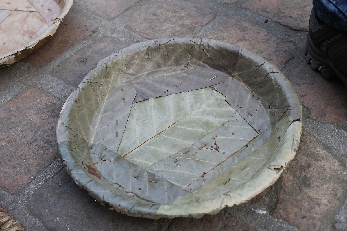 Tapari-1524053061.JPG