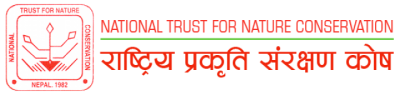NtNc-1528722457.png