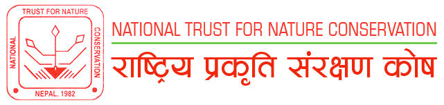 NtNc-1528722457.png