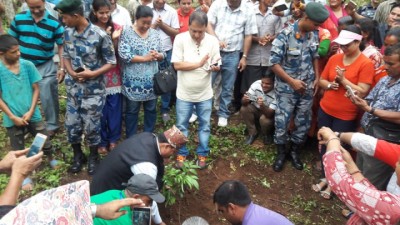 Plantation-1530191100.jpg