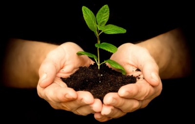 Plantation-1532092031.jpg