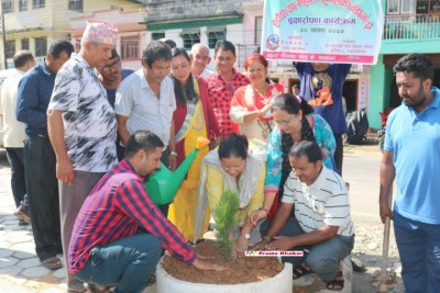 Plantation1-1534328064.jpg