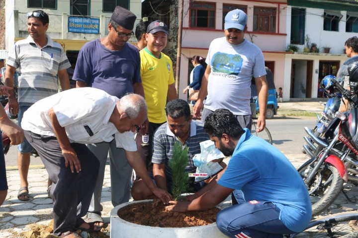 Plantation2-1534328064.jpg