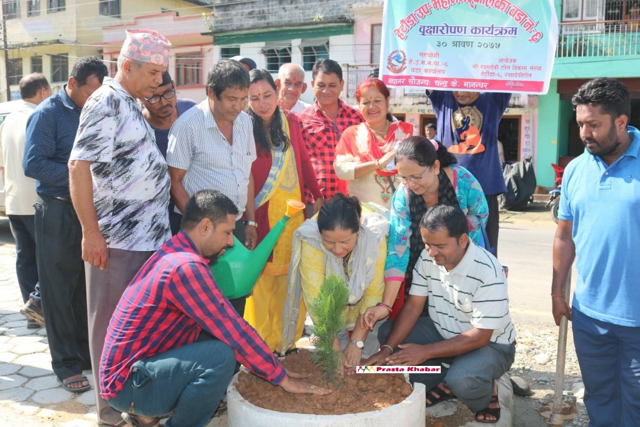 Plantation1-1534328064.jpg