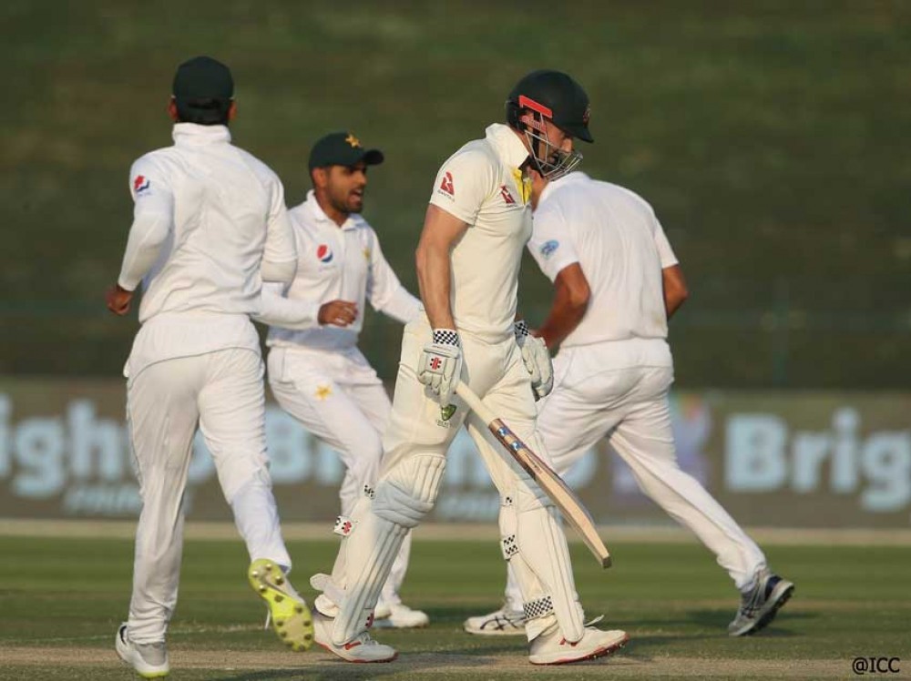 Cricket-1539913133.jpg