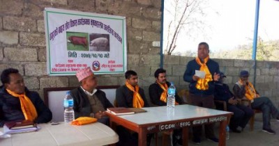 Bangur-Palak-Hetauda-1548345408.jpg