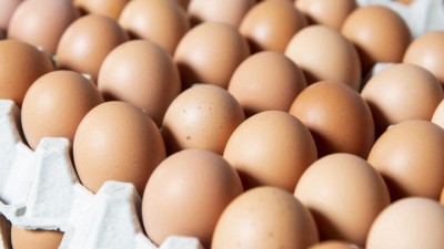 Egg-1556207025.jpg