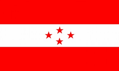 nepali-congress-flag-1556370088.jpg