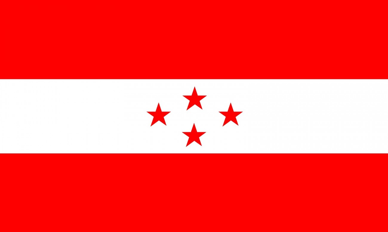 nepali-congress-flag-1556370088.jpg