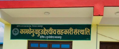 Kamdhenu-1564752813.jpg
