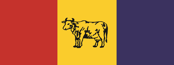 Rpp-1565531681.png