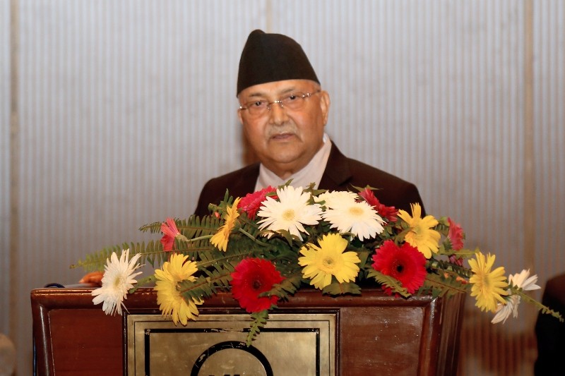 pm_oli7488-1573982066.jpg