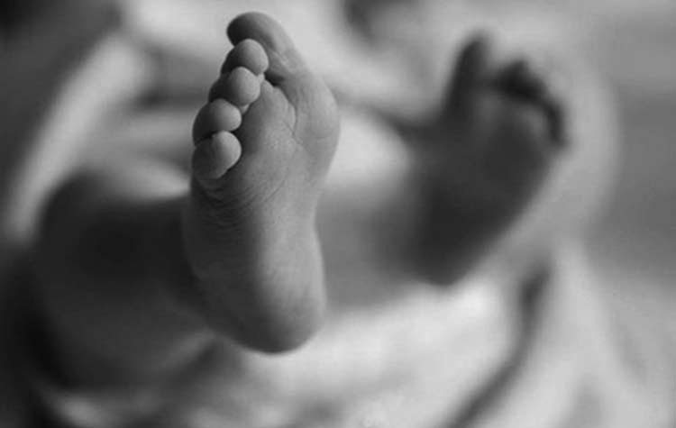 Died-1589361057.gif