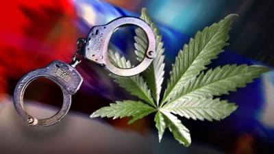Marijuana-Pot-arrest-1594466106.jpg