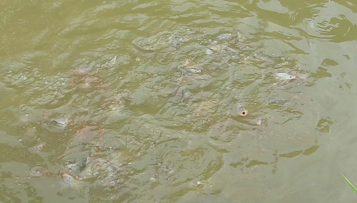 20200824_135925-1598258793.jpg