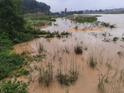 K2-1600399879.jpg