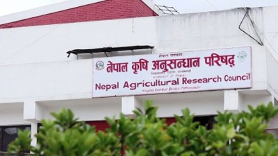NARC-1601302411.jpg