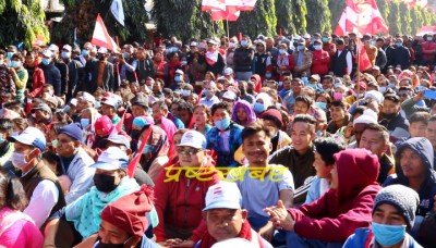 NC1-1607943948.jpg