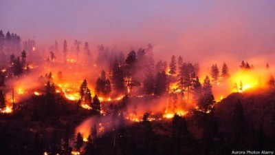 fire1-1628646092.jpg