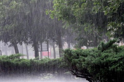 Rain-1642659372.jpg