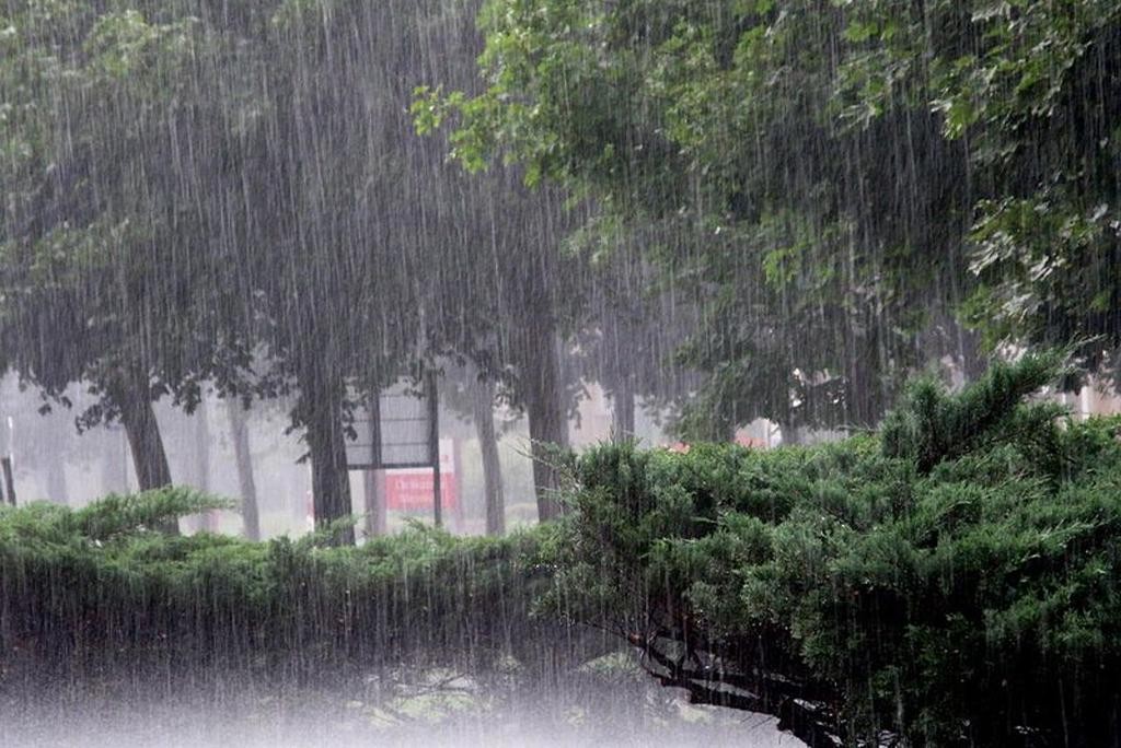 Rain-1642659372.jpg