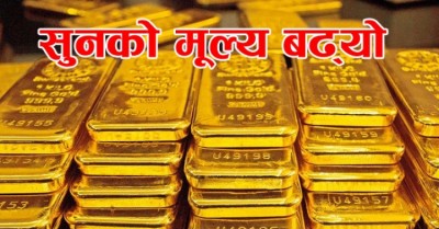 Gold-1648706172.jpg