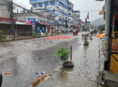 Pani-1651288700.jpg