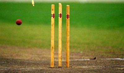cricket-1654247138.jpg