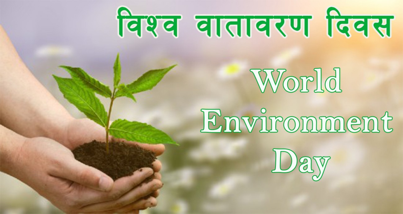 environment-1654405982.jpg