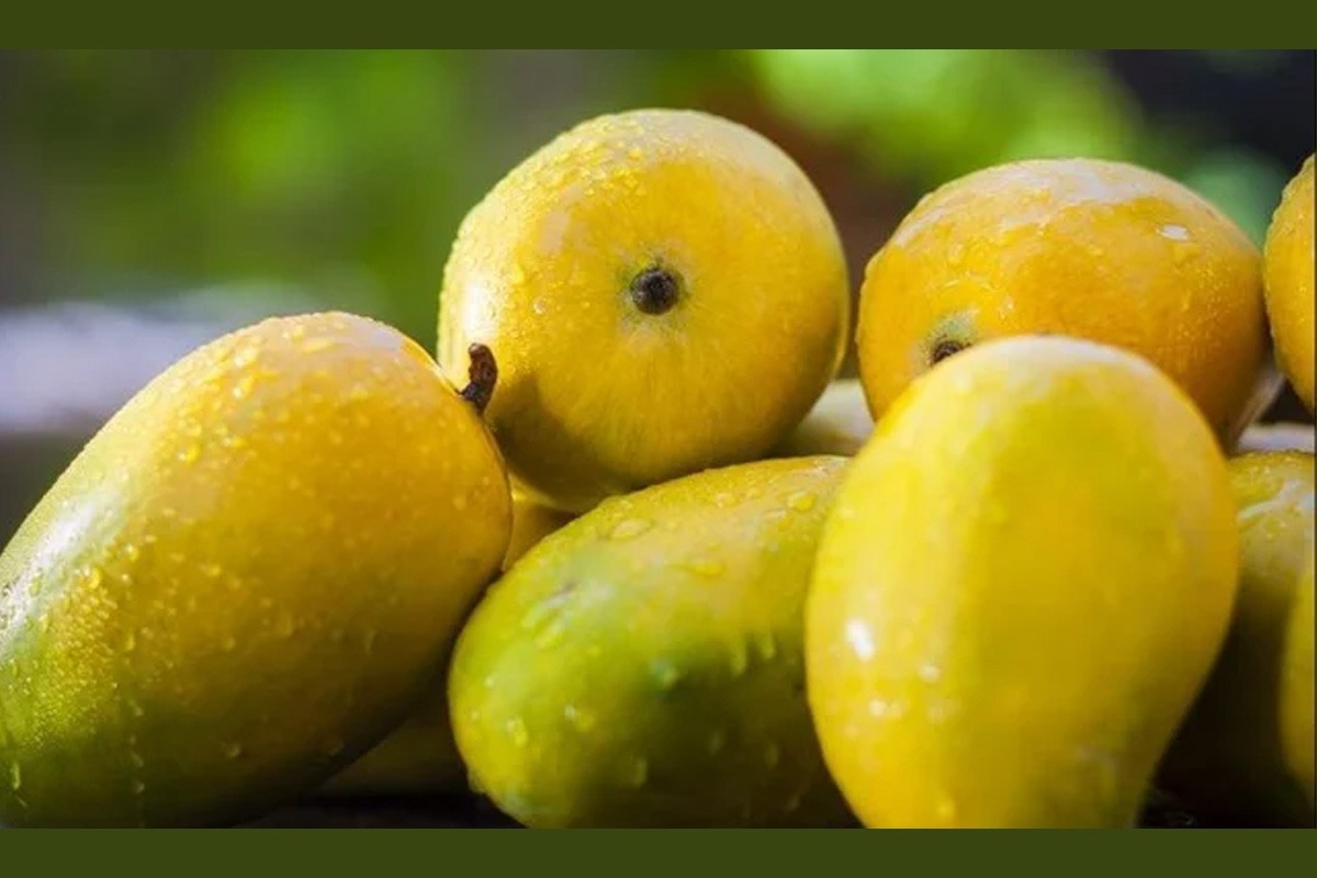 mango-1649816454-1656480713.jpg