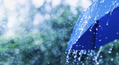 rainfall-umbrella-1657427200.jpg