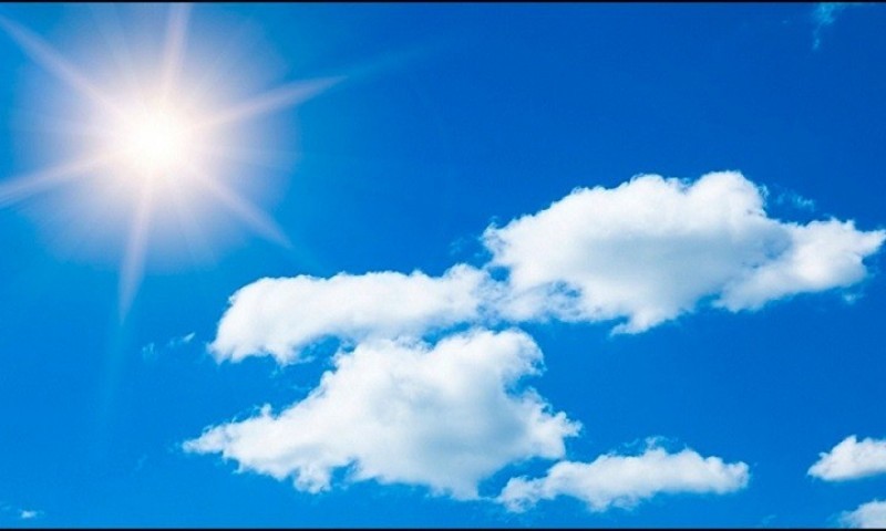 image-1658033678.jpg