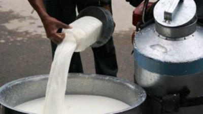 Milk-1543672504-1665623061.jpg