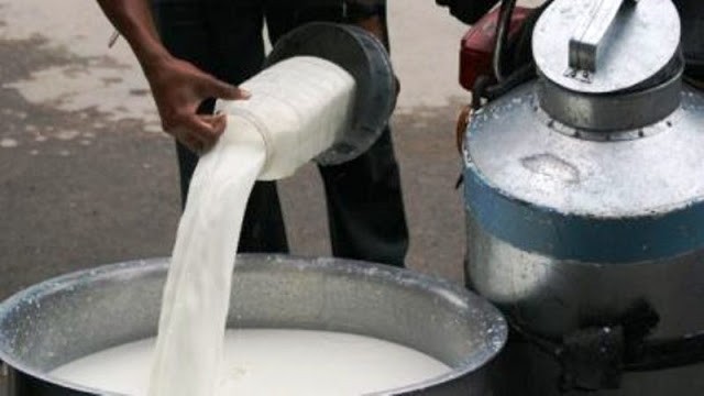 Milk-1543672504-1665623061.jpg