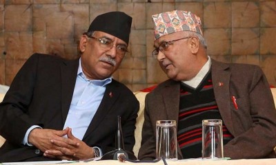 prachandaoli-newskarobar-1682065431.jpg