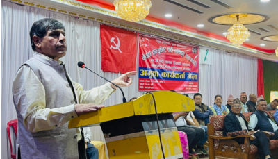 bhusal-1682125987.PNG