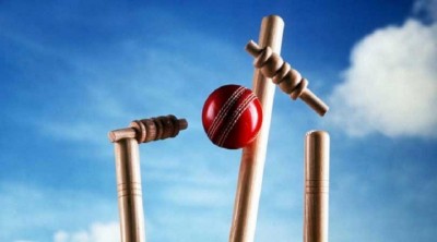 cricket-1685433958.jpg