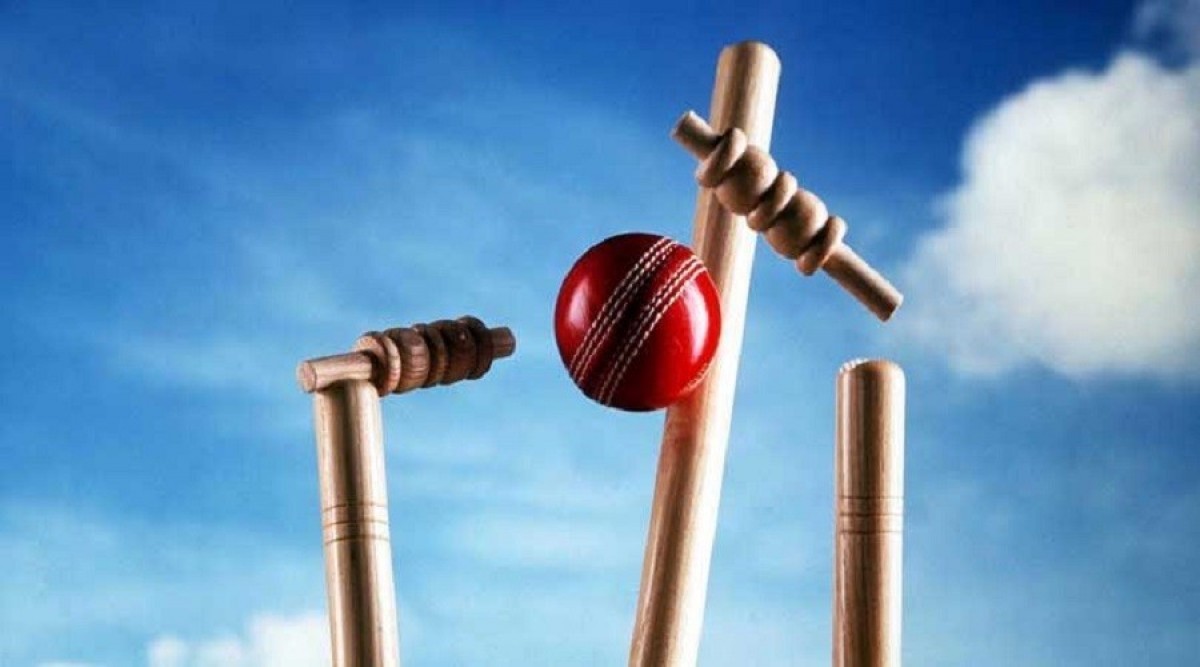 cricket-1685433958.jpg