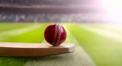 Cricket-1-1686445586.jpg